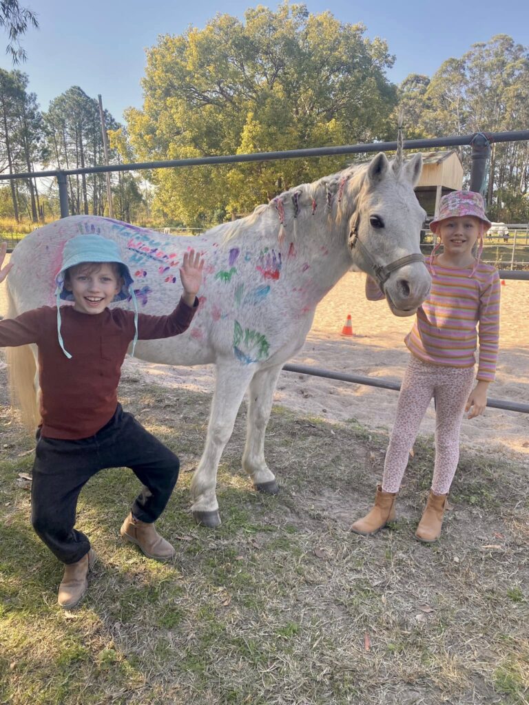 Bsaddle ponies