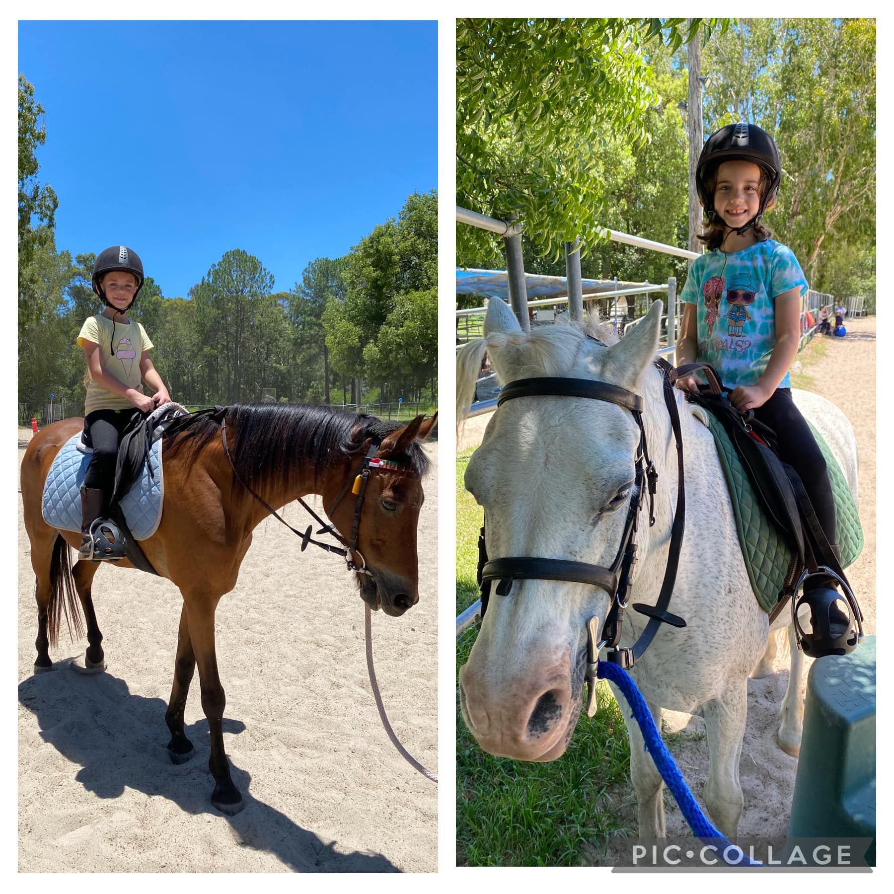 Bsaddle pony rides