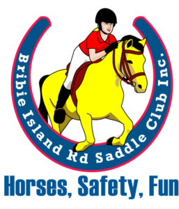 birsci logo no bg